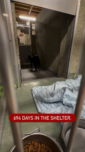 E1l2r5D pbazvemF.jpg