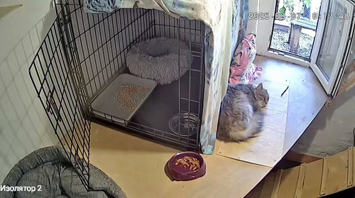 ZUcjcCQ53PG LXhj.jpg