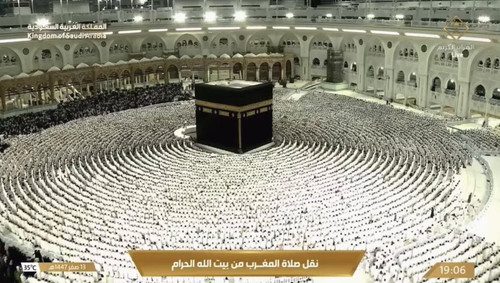 HvdbA6tPtlJ RlaJ.jpg