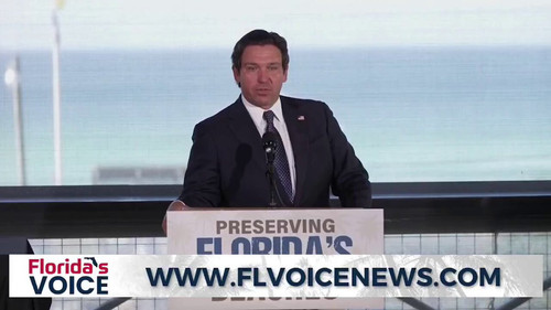 X p q8Y8X0yW7kne.jpg