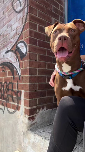 XjC6 gQZ RmnKYx5.jpg