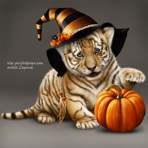 Tiger.jpg