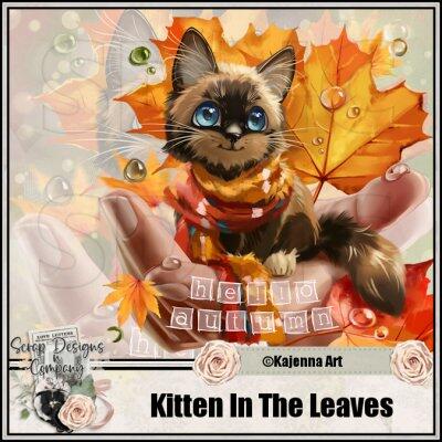 KittenInTheLeaves.jpg