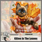 KittenInTheLeaves
