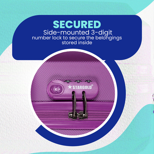 SG T80D PURPLE 06 copy.jpg