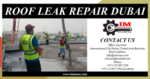 ROOF LEAK REPAIR DUBAI.png