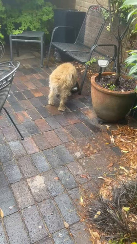 3c1lTqvR hPuWQ0k.jpg