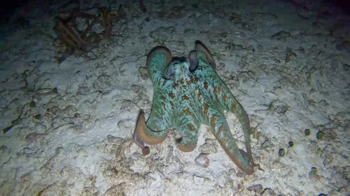 r uwnklWCvDbfsZ2.jpg