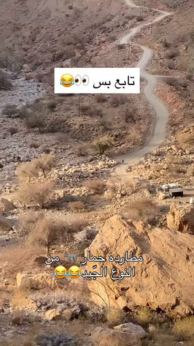 ROr9SkjlHdL aaTV.jpg