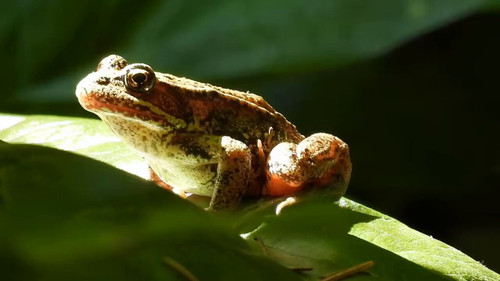 Xd2FrPDtF6wRMX3 .jpg