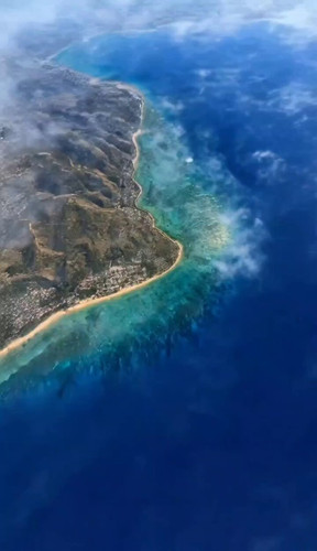 USKxWynGXqFfC8l .jpg