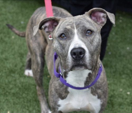 Gvh7K NWEAAsPtp?format=jpg.jpg