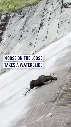 4HyCvL0QlrowRdl .jpg