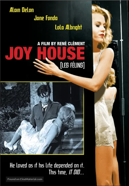 Koty / Les Félins (1964) PL.720p.WEB-DL.H264-wasik / Lektor PL
