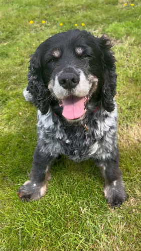 wVloWLuxvEaaq Ah.jpg