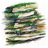 Oil painting Photos 0273