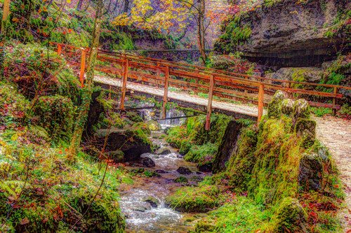 Oil painting Photos 0166.jpg