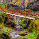 Oil painting Photos 0166