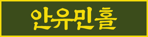 안유민홀.png