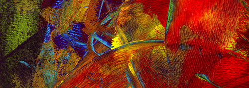 Oil painting Photos 0218.jpg