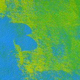 Oil painting Photos 0221