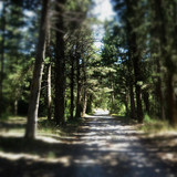 Oil painting Photos 0140