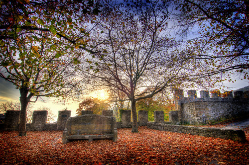 Oil painting Photos 0398.jpg