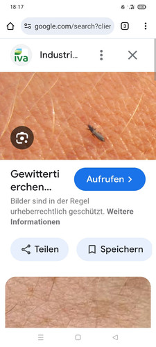 Screenshot 2025 07 19 18 17 47 21 40deb401b9ffe8e1df2f1cc5ba480b12.jpg