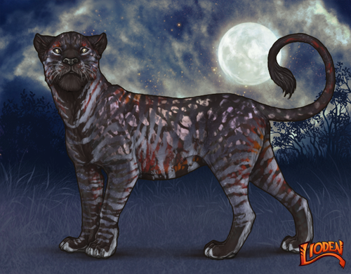 lioden wardrobe (5).png