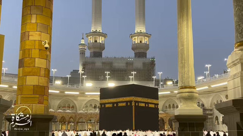 TYaiOzVWcChdjZK .jpg