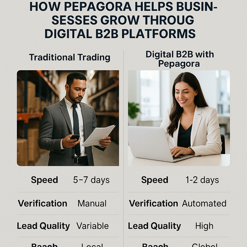 Digital B2B Transformation.png