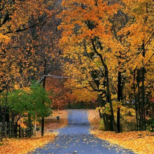 Expert Driving Lessons at Top-Rated Oxnard Driving School.jpg