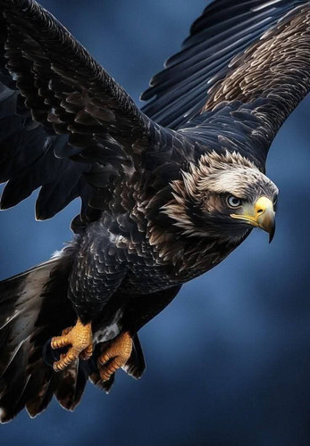 FB IMG 1750827560216.jpg