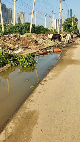 fBwFZaZDKtSUm Kg.jpg