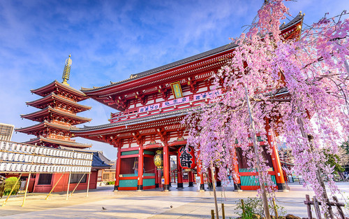 28cc7e26663d70766385a9124d6b2daa Tokyo.jpg