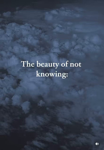 2LlT88Wd RX9MzPn.jpg