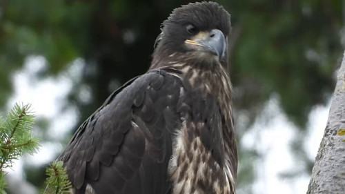 caV8Lby02vzbS4p .jpg