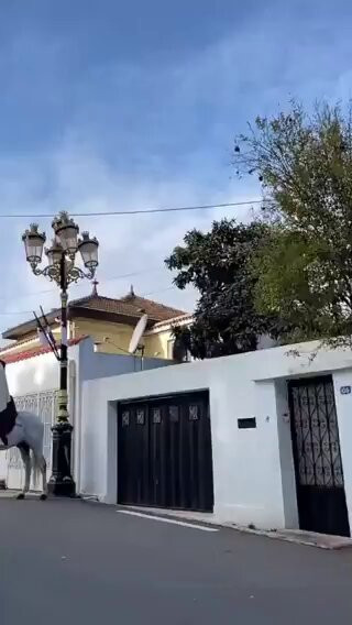 VxYFn78 FGDuD2Xq.jpg