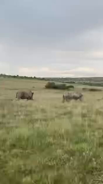 VqmnfE5y5n3A 0Ap.jpg