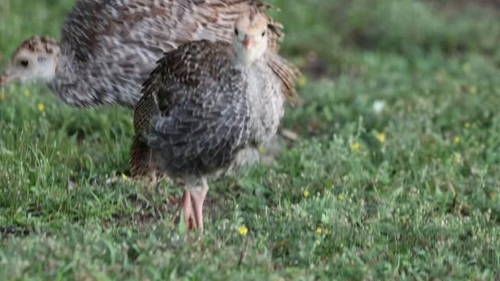 sbFuBW0 xyop8L9c.jpg