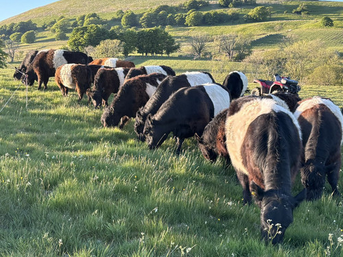 GwJ5 amWMAAJ56d?format=jpg.jpg