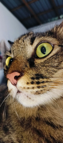 518274778 3151823714982012 879749189139219776 n.jpg