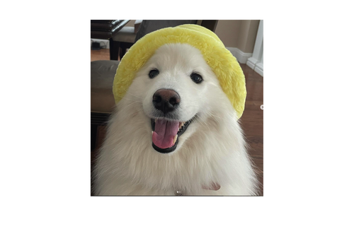 Ekran Resmi 2025 07 19 21.10.55.png