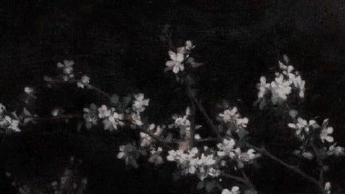 IMG 20250720 013247 981.jpg