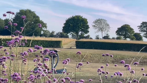 6wAfoWYVbtF 4383.jpg