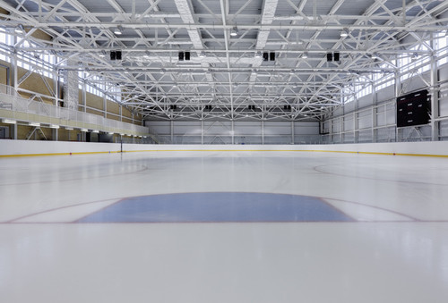 rink noun 002 31251.jpg?version=6.0.jpg