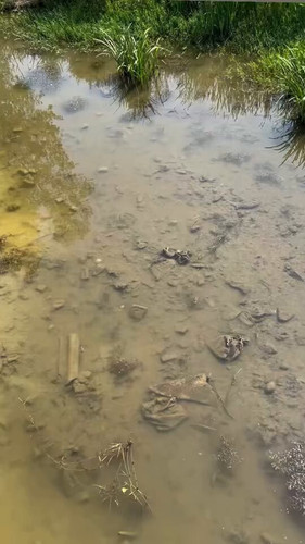 w6pwYlDTXEt Xbuo.jpg