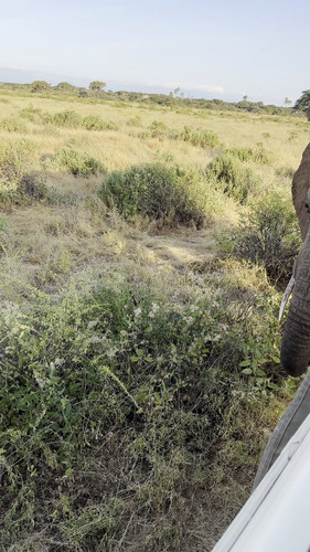 mnI7RuzwB 33pOzc.jpg