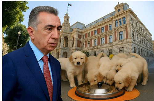 518449958 1285518522943683 5541806854631737810 n.jpg? nc cat=109&ccb=1 7& nc sid=833d8c& nc ohc=nQrq.jpg