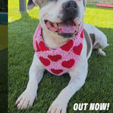 Gv15rhRa4AQNN F?format=png.png